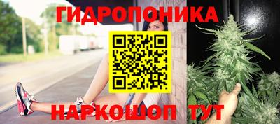 хмурый Обь