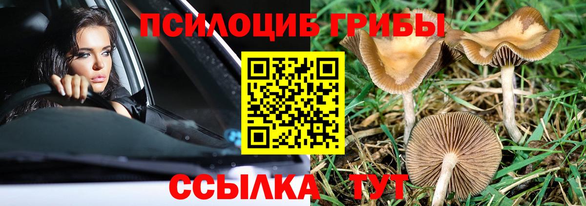 Галлюциногенные грибы мухоморы Топки